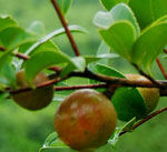 �c���鿴Ԕ��(x��)