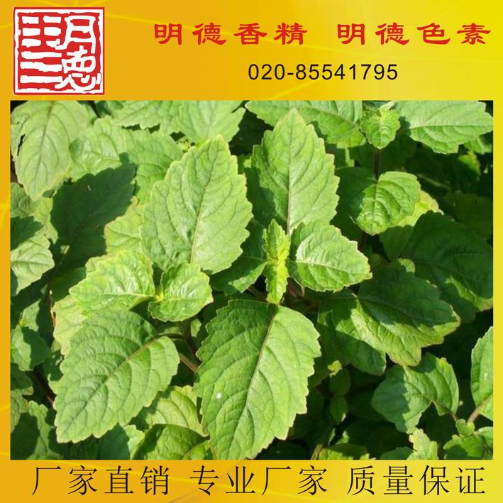 點(diǎn)擊查看詳細(xì)